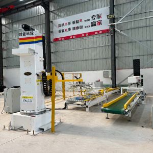 Industrial Robot Arm Hand Palletizer Stacking Machine Fully Automatic