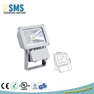 China LED Flood Light 50W wholesale