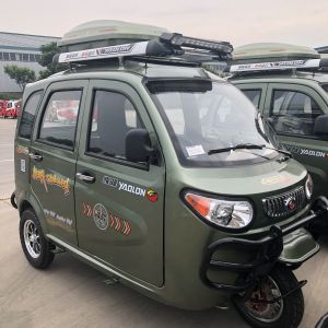China Closed 3 Wheel Petrol 520kg Motorized Passenger Tricycle wholesale