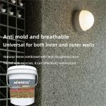 Building Coating Good Dirt-resistance Exterior Wall Imitation Stone Paint for