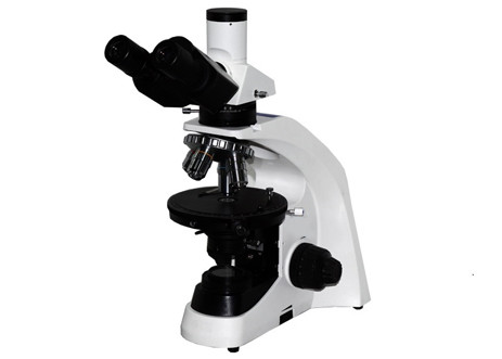 Trinocular Educational Microscope Kit WF10X/20mm Student Microscope With Mechanical Stage