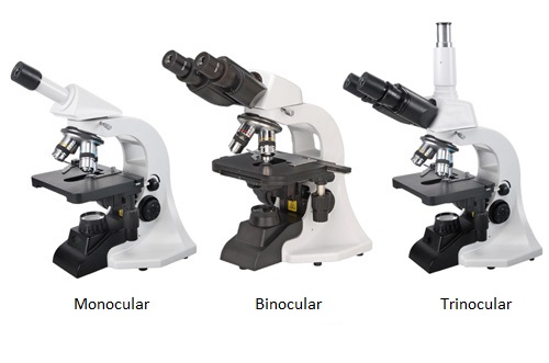 Medical 1000X Infinite Confocal Laser Scanning Microscopy Binocular NCH - B1000