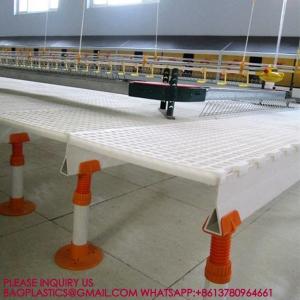 China 40mm Slatted Floor System In Poultry, PP Slatted Floor System, Plastic Floor For Goat Farm on sale