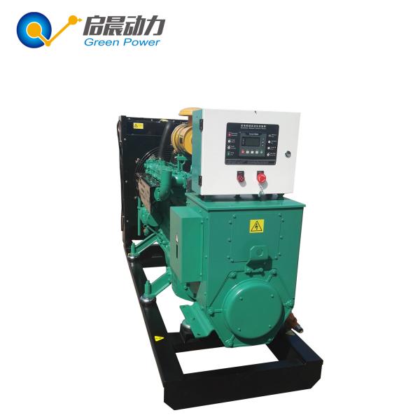 Quality Standby Generator for Home Use Best Standby Generator Biogas Generator for sale