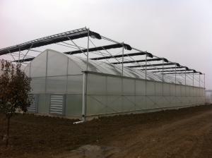 High Output Hydroponic Lettuce Greenhouse Wind Load 100KM/H With Multi Layer Rack