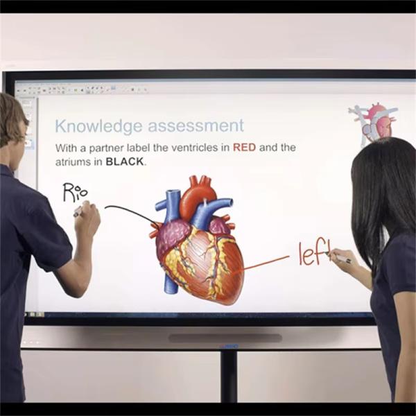 Quality 75 Inch LCD Interactive Smart Board Touch Digital Whiteboards Interactive Monitor Display Screen for sale