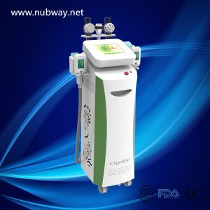 China Multifunction Cryolipolysis Slimming Fat Freezing Cryolipolysis Slimming Machine wholesale