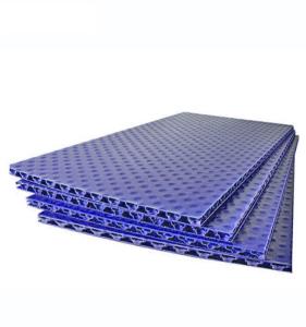 China Purple 11mm PP Honeycomb Panel Polypropylene Honeycomb Sheet wholesale