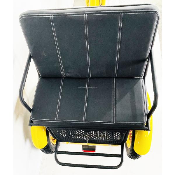 US Fat Tire Electric Passenger Tricycle with 1000W Bafang Motor and Aluminum Pedal