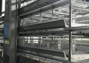 Professional Automatic Poultry Feeder System Chicken Feeder Equipment