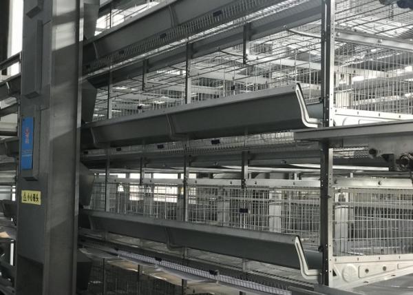 Quality Professional Automatic Poultry Feeder System Chicken Feeder Equipment for sale