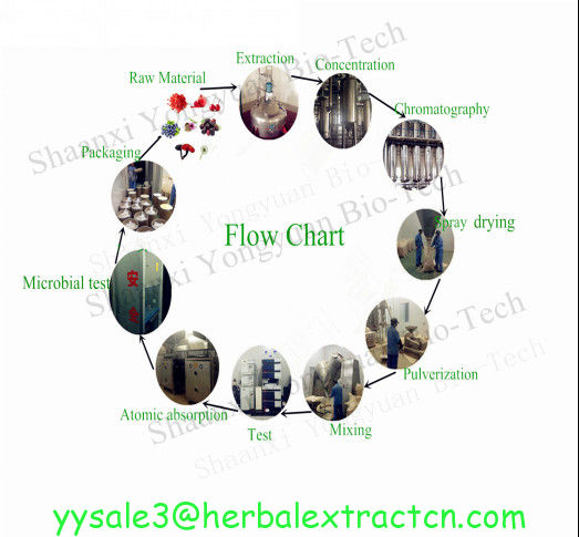 Red Clover Extract, soflavones 2.5% 8% 20% 40% HPLC, Chinese exporter with high quality, sShaanxi Yongyuan Bio-Tech