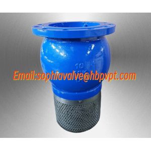 China 10 inch 10K ductile iron flanged foot valve wholesale