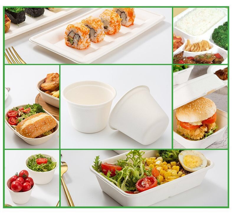 Biodegradable Paper Pulp Lunch Container, Sugarcane Bagasse Food Container, Disposable Tableware