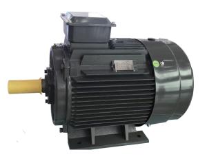 AC  Asynchronous Inverter Motors General Purpose