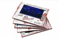 7 inch LCD video brochure mailer with motion sensor button activated screens