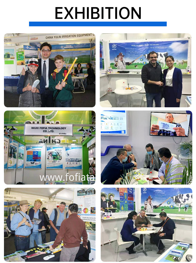 2.12*12mm ISO Transponder Microchip ISO11784 / 5 FDX - B International Standard Injectable Transponders