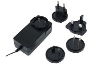 Universal 1A Power Adapter with Interchangeable Plugs Male DC Connector 100-240V Input Voltage