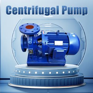 Horizontal Pipeline Centrifugal Pump 2 Inch Garden Irrigation