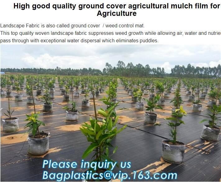 Garden Potato Planter Growing Bags PE Fabric Eco-friendly 7Gallon 10Gallon,potato planter with 7/10 gallon potato plante