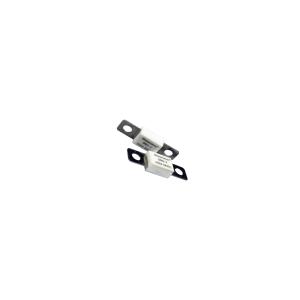 China Ceramic 100 Amp Auto Fuse , 58VDC Low Breaking Capacity Fuse wholesale