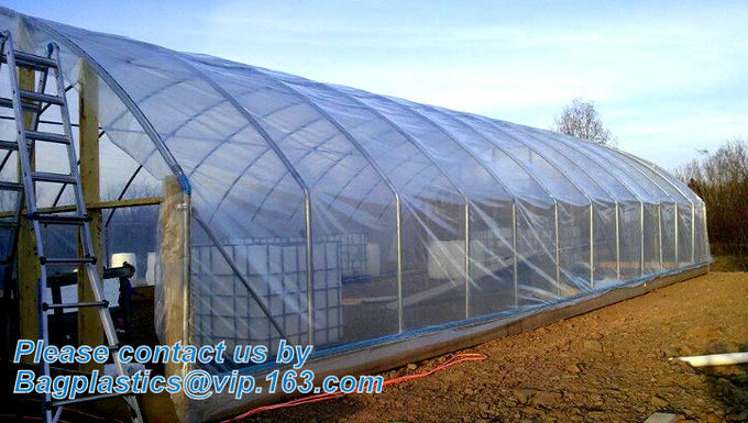 HOTICULTURAL MULCH FILM,AGRICULTURAL PE FILM,MARKET GARDENERS CLOCHE FILM,PE FILM FOR CORN,PLASTIC FILM COVER,TOMATO COV