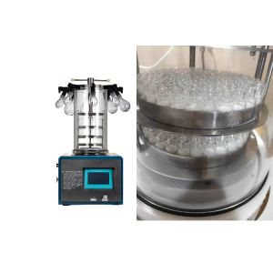 China Home Food Vacuum Deep Lab Freeze Dryer 1Kg 2Kg Capacity wholesale
