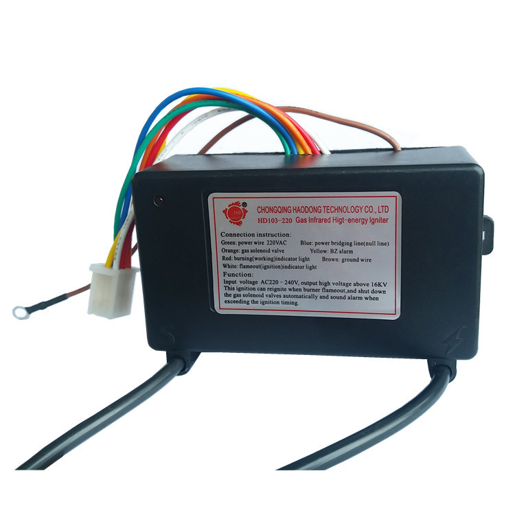 Switching Control Electronic Pulse Igniter Kits 110V 220V For Gas Heater Burner