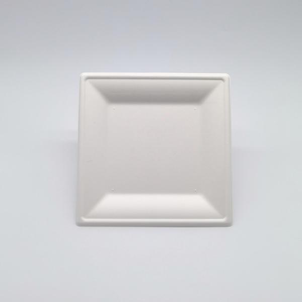 Quality 6/8/10 Inch Biodegradable Bagasse Tableware Square Plates For Party for sale