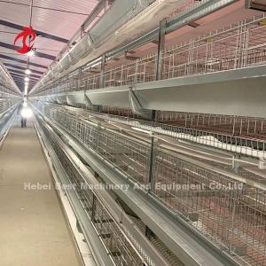 Hot Dip Galvanized Poultry Cage System White Layer Farm Bird Housing Adela