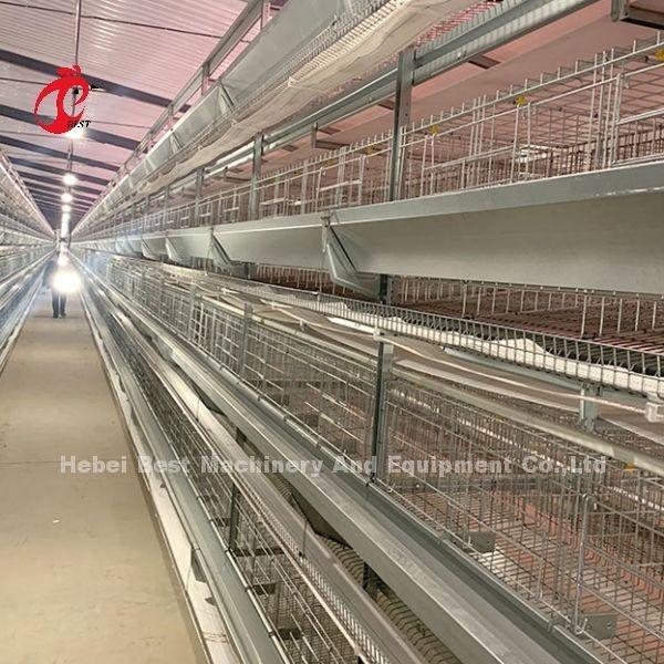 Quality Hot Dip Galvanized Poultry Cage System White Layer Farm Bird Housing Adela for sale