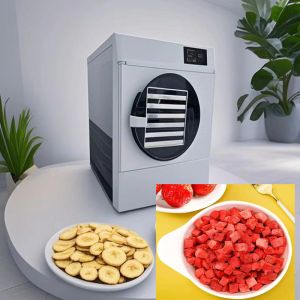 China 6Kg 10Kg Home Freeze Dryer Drying Cycle 20-24 Hours wholesale