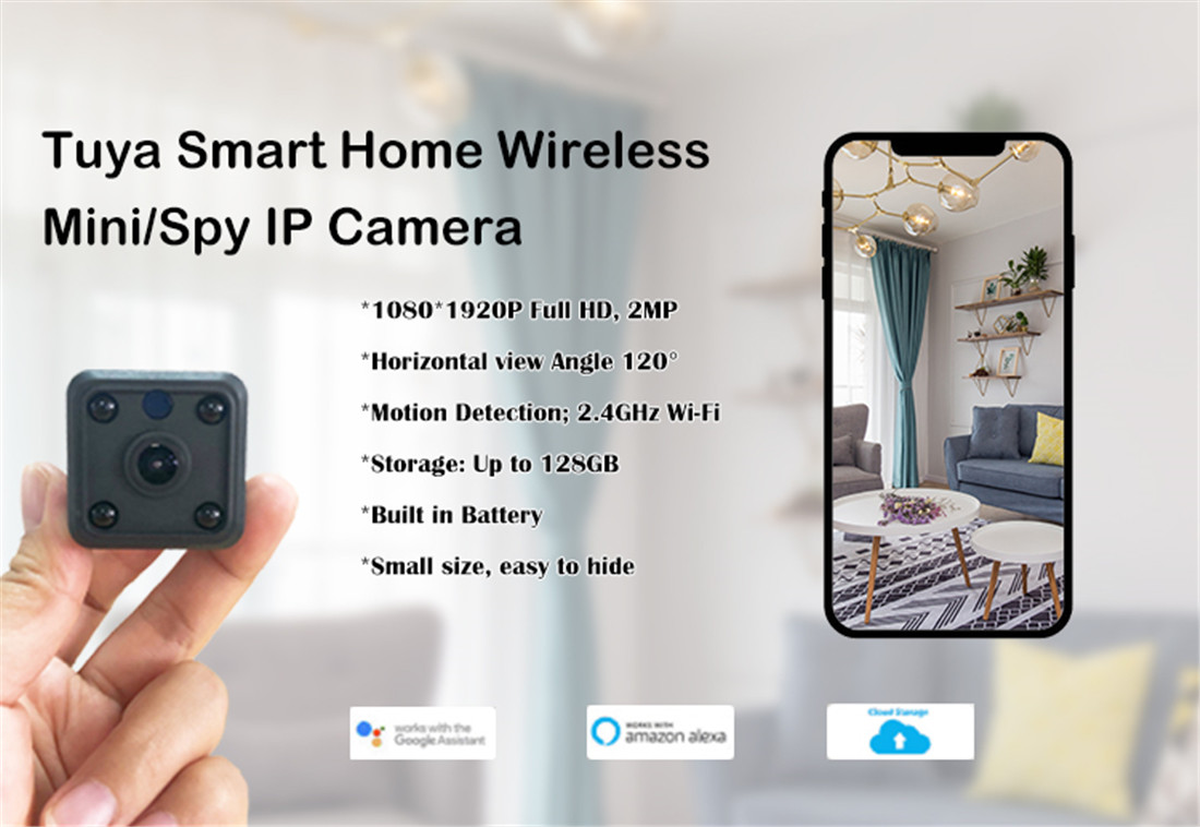 Mini Spy Camera Hidden 1080P Camera, Whalecam Small Security Camera(JS-P166)