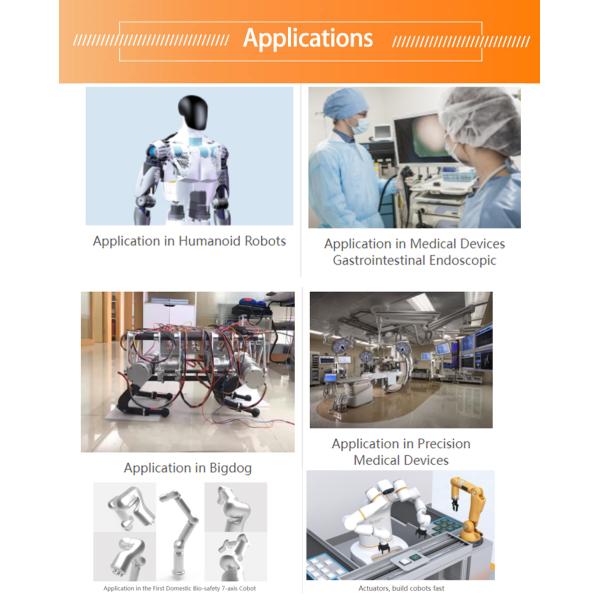High Torque Bldc Harmonic Drive Motor Customize For Robot Arm