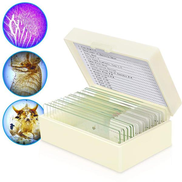 Quality Hot Sale 25pcs Glass Human Prepared Histology Microscope Slides wooden set for Lab Research for sale