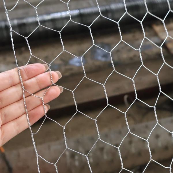 1"X 20ga Hexagon Wire Mesh Chicken Wire Mesh Roll For Poultry Farm Mesh Net