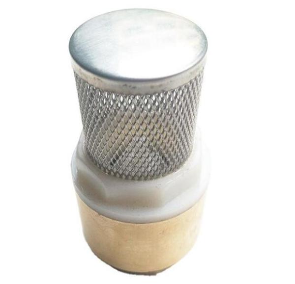 Quality Bellows Globe Tubular Vertical Brass Spring Check Valve for sale