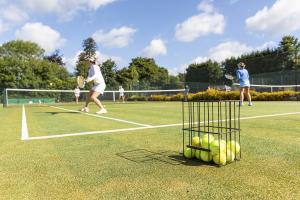 Leisure Synthetic Ground Lawn Football Fields Synthetic Lawn Grass Carpet