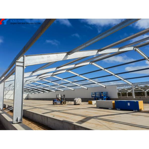 Animal Feeding H Type Automatic Chicken Cage , Hen Battery Cages For Broilers