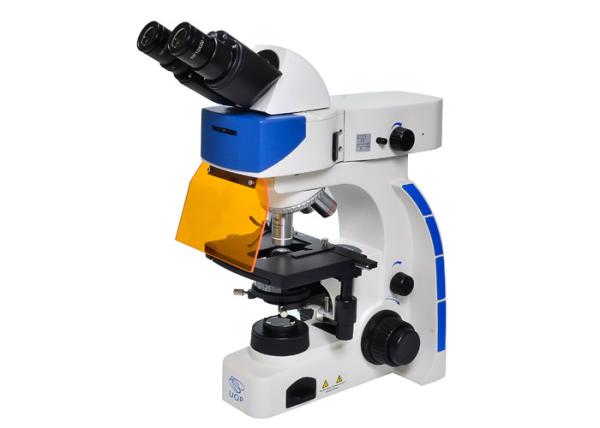 Quality UOP Upright Fluorescence Microscope , High Resolution Fluorescence Microscopy for sale