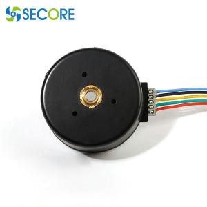 China Relaxation Massager 12v Outer Rotor BLDC Motor Brushless 3000rpm With Speed Controller on sale