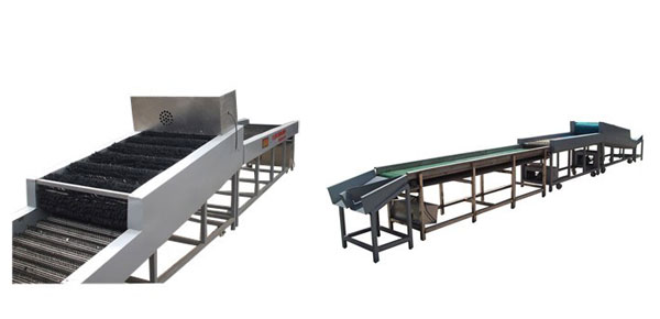 Brush type potato grader 3
