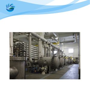 China Large Capacity Seawater Desalination RO System Salt Water Purification Machine wholesale