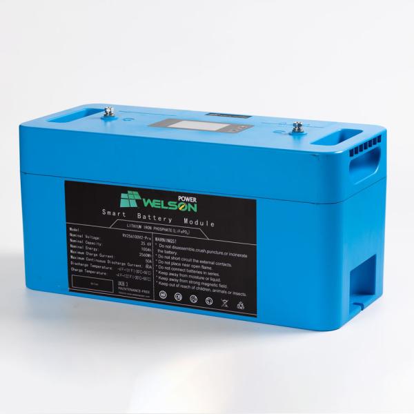 Deep Cycle Lifepo4 Battery 12V 100ah 120ah 150 250ah BMS For Car RV E Bike Electric
