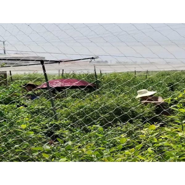 2mm Opening Heavy Duty Bird Netting For Orchards Chinlon Material