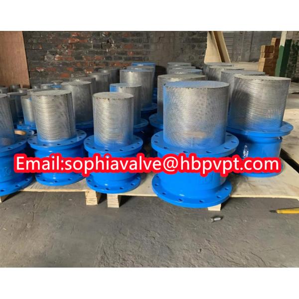 150lb ANSI stainless steel screen cast iron flanged foot valve