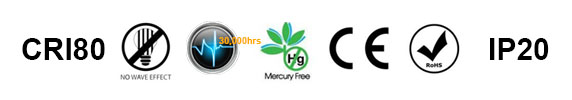 2500lm 28W COB Color Diameter 95mm Par30 LED Par Light
