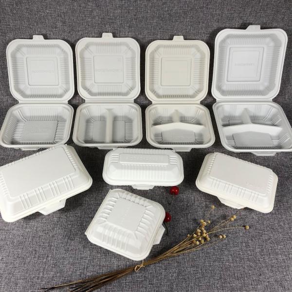 Disposable Biodegradable Box Food Container