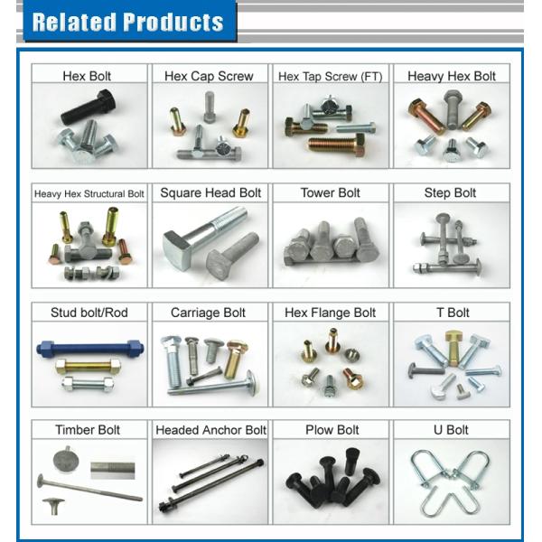 Galvanized Metal Nuts And Bolts Din931 4.8-8.8 Grade Stainless Steel Carriage Bolts