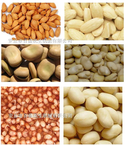 automatic wet way nuts peeler machine for peanut ,almond,beans etc